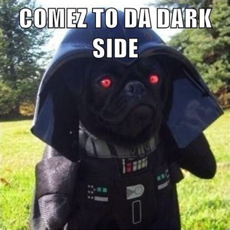 Darth Pug | Pug memes, Pugs, Pugs in costume