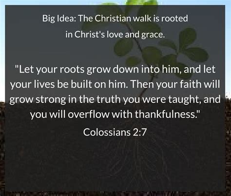 Deep Roots – Bible Devotions for Teens