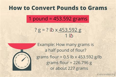 How to Convert Pounds to Grams (lb to g)