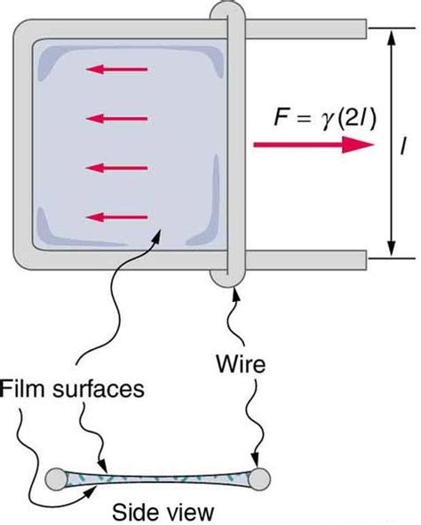 Surface Tension of a soap film