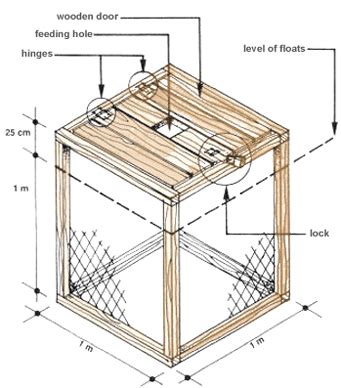 HANDBOOK16. Producing fish in cages