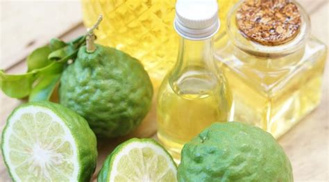 Citrus Bergamot Benefits -Bodybuilding, Cholesterol, Science