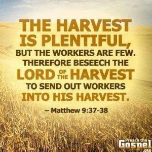 Quotes About Harvest. QuotesGram