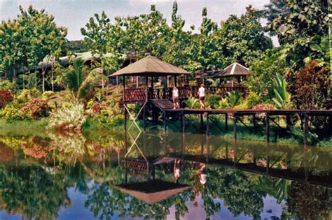 Sepilok Jungle Resort in Sepilok, Malaysia - Lonely Planet