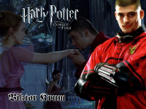 Viktor Krum - Harry Potter Wallpaper (7204832) - Fanpop