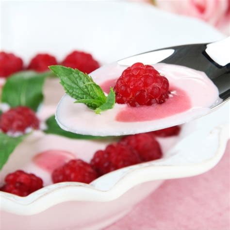 Cool Yogurt Delight Recipe