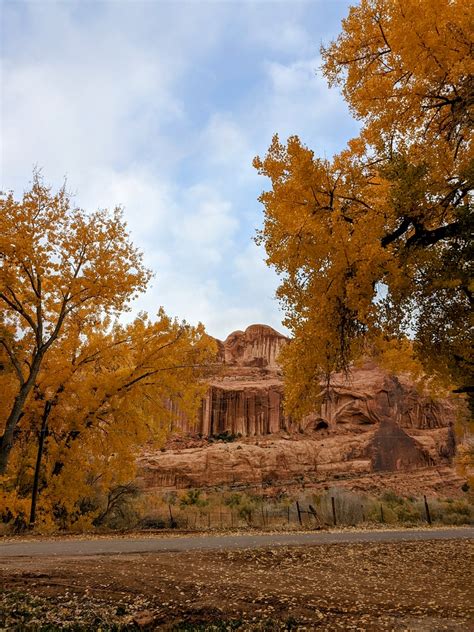 Finding Utah Fall Colors (2023) - Campfires & Concierges