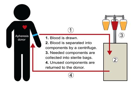 Apheresis Platelets