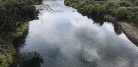 Kids On Board Tongariro River Trail, Turangi | Kids On Board