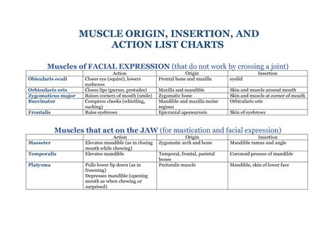 Quadriceps Femoris Muscle Origin Insertion And Function