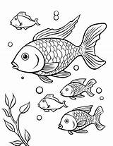 50 Fish Coloring Pages Fun Free Sheets sketch template