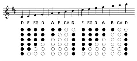 List of Tin Whistle Notes... Key of D | Tin whistle, Whistle, Learn music