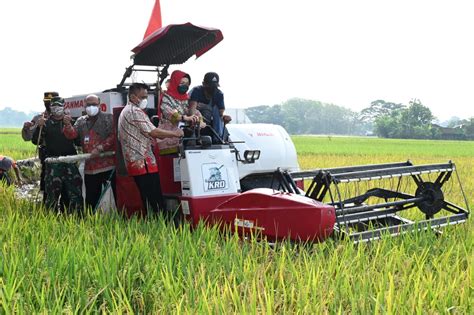 Gunakan Combine Harvester, Bupati Panen Raya Padi Bersama Bank Indonesia Solo - Bagian Protokol ...