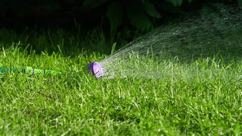 Watering the lawn manual garden sprinkler 9745677 Stock Video at Vecteezy