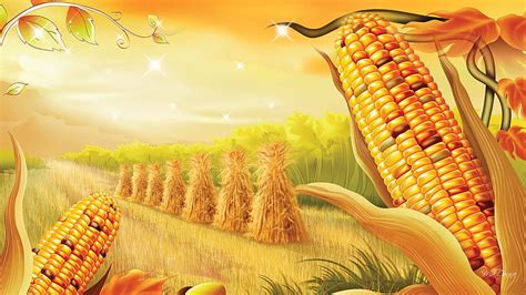 Harvest in the Field, corn, fall, autumn, harvest, orange, country, trees, sky, HD wallpaper ...