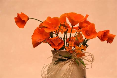 Orange poppies stock image. Image of spring, poppy, flora - 40607339