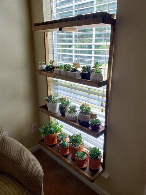 Pin by Clara Zastrow's Blog on succulents in 2020 | Garden shelves, Window shelf for plants ...