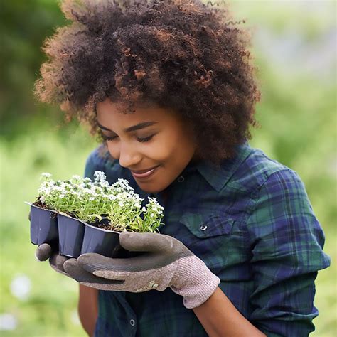 Best Smelling Flowers That You Can Plant in Your Garden