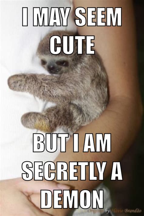 Sloth Meme made by Maya VanDussen | Sloth meme, Memes, Sloth