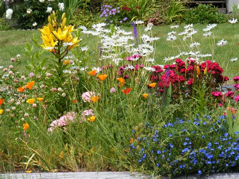 wild flower garden I absolutely love these! Something is very sweet ...