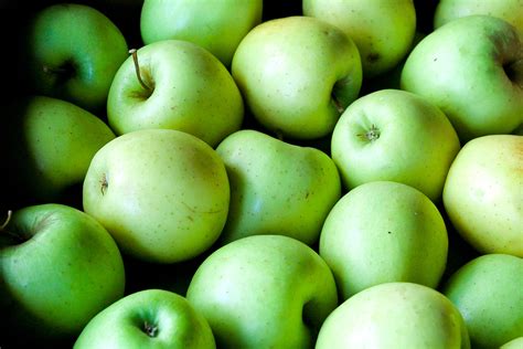 Green Apples Free Stock Photo - Public Domain Pictures