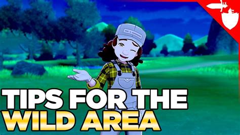 Explore the Wild Area RIGHT in Pokemon Sword and Shield - YouTube