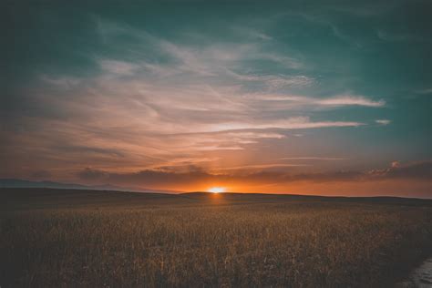 Field Sunrise 5k, HD Nature, 4k Wallpapers, Images, Backgrounds, Photos ...