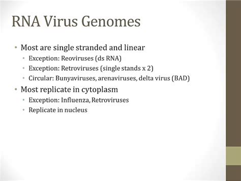 Virus Sturcture - My Wiki