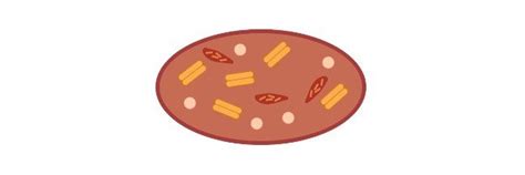 Chromoplast: Definition, Function, and Examples