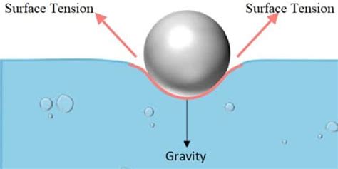 Factors Affecting Surface Tension - QS Study