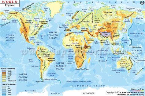 Elevation in 2020 | World geography map, Geography map, World geography