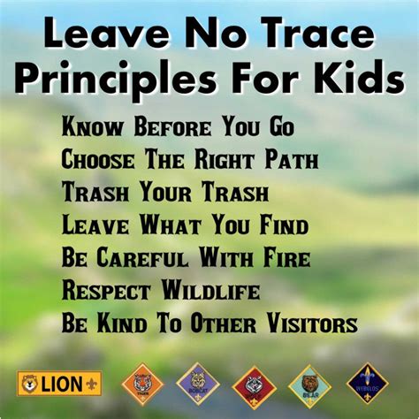 Leave No Trace Principles For Kids — ScouterLife