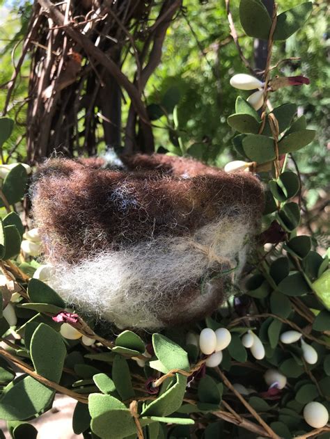 Wool Hummingbird nest | Etsy