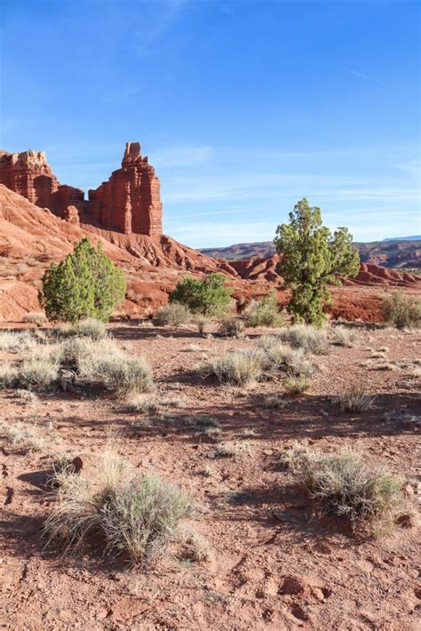 Chimney Rock towers over the desert landscape in Capitol Reef National Park, Utah. http://www ...