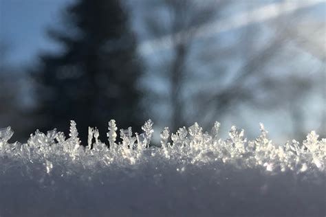 Images of snow crystals combine art and science to study our most valuable resource: Water