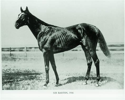 Sir Barton: Forgotten Hero | America's Best Racing