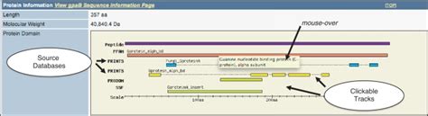 Graphical visualization of protein domains on a dictyBase gene page.... | Download Scientific ...