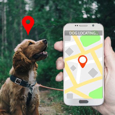 Dog GPS Tracker Benefits - Trackimo