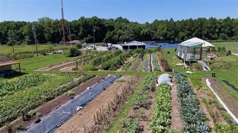 Getting To The Root of It: How Butler’s One-Acre Farm Has Evolved In a Decade – Stories