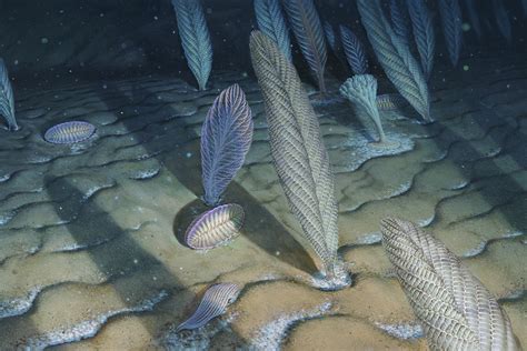 Why deep oceans gave life to the first big, complex organisms | Stanford News