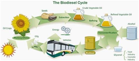 Biodiesel - Myths and Facts