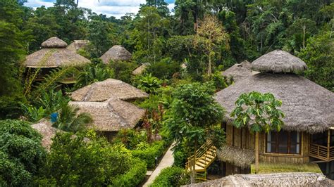 Discover The Amazon Rainforest's Enchanting Eco Lodges