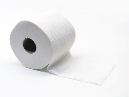 Toilet Paper Timeline of Earth History – Montessori Muddle