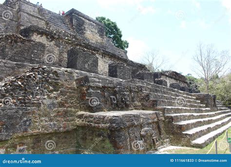 Altun Ha Mayan Ruins Landscape Scene Editorial Stock Photo - Image of ...