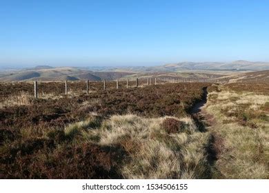 Cheviot Hills Northumberland England September 21 Stock Photo 1534506155 | Shutterstock