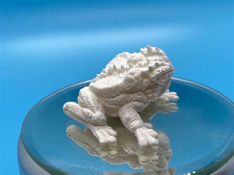 Giant Toad Primed 3D Printed Miniature Model for Dungeons - Etsy