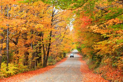 The 5 best road trips in Maine - Lonely Planet