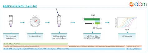 ExCellenCT One-Step BrightGreen qRT-PCR-Low ROX