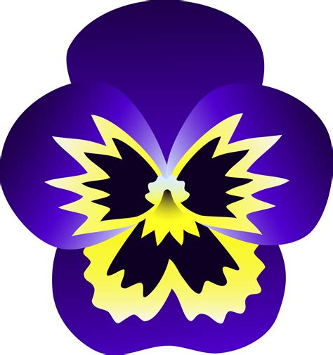 Purple and Yellow Pansy Flower - Free Clip Art