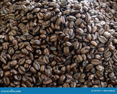 Dark roast coffee beans stock image. Image of coffee, heap - 6657657